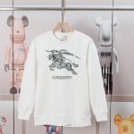 Burberry Abs Hoodie