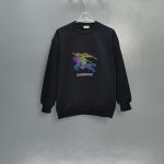 Burberry Cotton Hoodies For Autumn