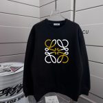 Loewe Hoodies For Fall