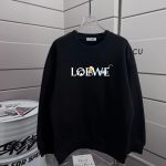 Loewe Hoodies For Fall
