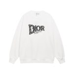 Dior Hoodies For Autumn
