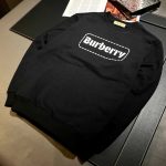 Burberry Fleece Hoodies For Autumn
