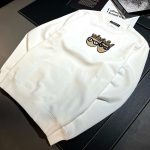 Dolce & Gabbana Fleece Hoodies For Autumn