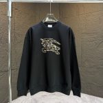 Burberry Cotton Hoodies For Autumn