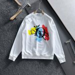 Dior Hoodies For Autumn