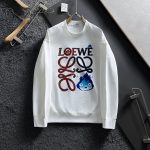 Loewe Hoodies For Autumn