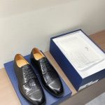 Dior Dyed Leather Leather Shoes