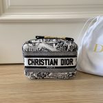 Dior Makeup Bag