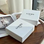 Loewe Skirt
