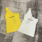 Dior Vest