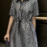 Dior Dress