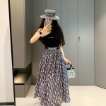 Dior Skirt
