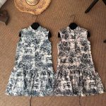 Dior Sleeveless Dress