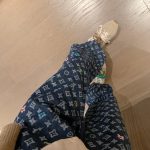 Louis Vuitton Jacquard Pants