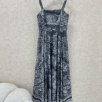 Dior Long Dress
