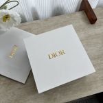 Dior Abs Cup For Summer
