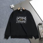 Dior Hoodies For Spring