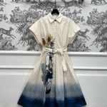 Dior Dress