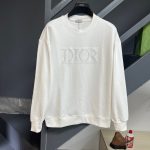 Dior Hoodies For Spring