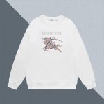 Burberry Hoodies For Spring