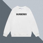 Burberry Hoodies For Spring