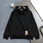 Burberry Hoodie For Spring
