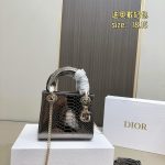Dior Ruler
