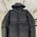 Louis Vuitton Down Jacket Ash Duck Jacquard Winter