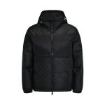 Louis Vuitton Down Jacket Ash Duck Jacquard Winter