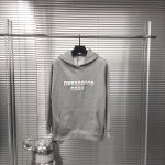 Alexander Wang Hoodie Ash Cotton