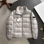 Dior Down Jacket Red Goose Duck Nylon Premium Quality Zippered Pocket