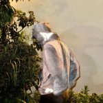 Archaeopteryx Outerwear Red Snakeskin Spring Summer And