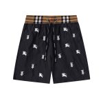 Burberry Beach Shorts Black Mesh Embroidery