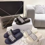 Dior Slippers Blue Rubber