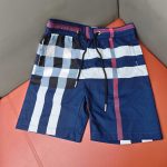 Burberry Quick-Drying Pants Blue Woven Fabric Spring Summer
