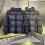 Louis Vuitton Down Jacket