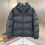 Louis Vuitton Down Jacket