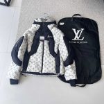 Louis Vuitton Down Jacket Color Winter Patch