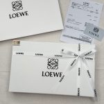 Loewe Shawl Ash Cashmere Winter