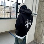 Stussy Hoodie Red Double-Sided Fabric Winter
