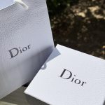Dior Blackboard Lady Velvet