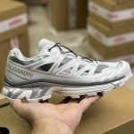 Salomon Running Shoes