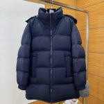 Louis Vuitton Down Jacket Blue Duck