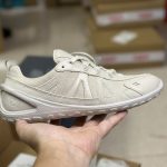 Ecco Sneakers