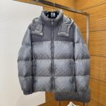 Louis Vuitton Down Jacket Red Duck Nylon Jacquard