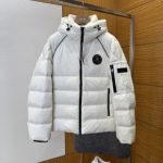 Dior Outerwear Ash Goose Down Nylon Fabric Premium Quality Winter Drawstring Adjustment