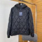 Louis Vuitton Down Jacket Black Duck Nylon Satin Fabric Sophistication Embroidery