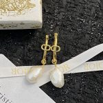 Dior Earrings Ash
