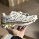 Salomon Running Shoes Brown