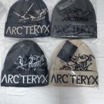 Archaeopteryx Hats Red Jacquard Simple Design